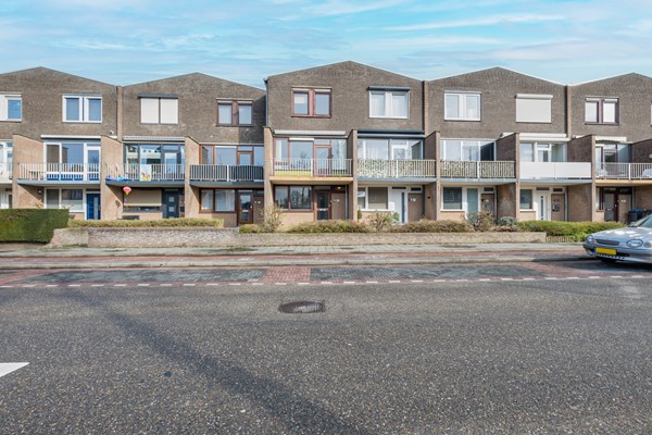 AAP 2026 ODHH 0218 005.jpeg